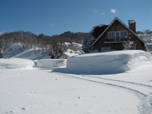 %e3%81%a1%e3%81%b3%e3%81%8c%e3%81%84%e3%81%9f%e9%a0%83-014